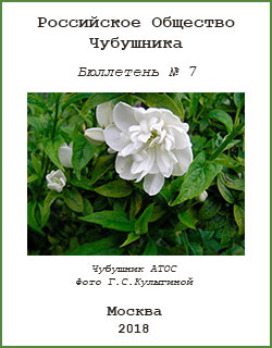 БЮЛЛЕТЕНЬ РОЧ №7 (2018)